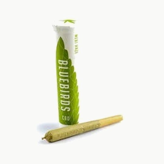 BlueBirds - Medi Haze Preroll - 1