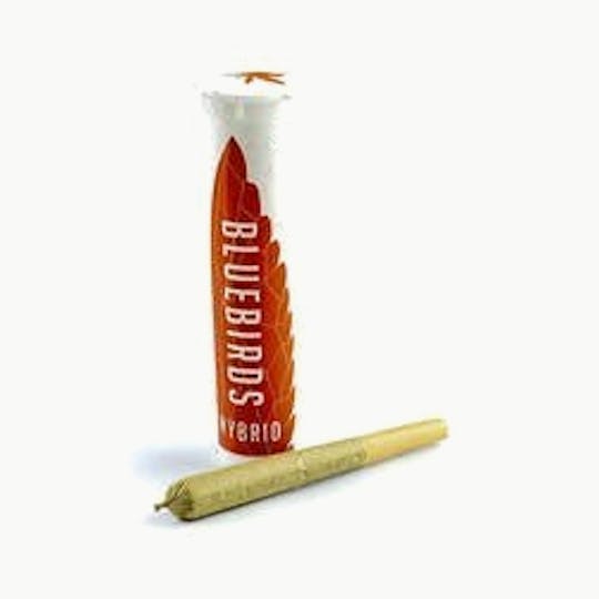 BlueBirds - Layer Cake Preroll - 1