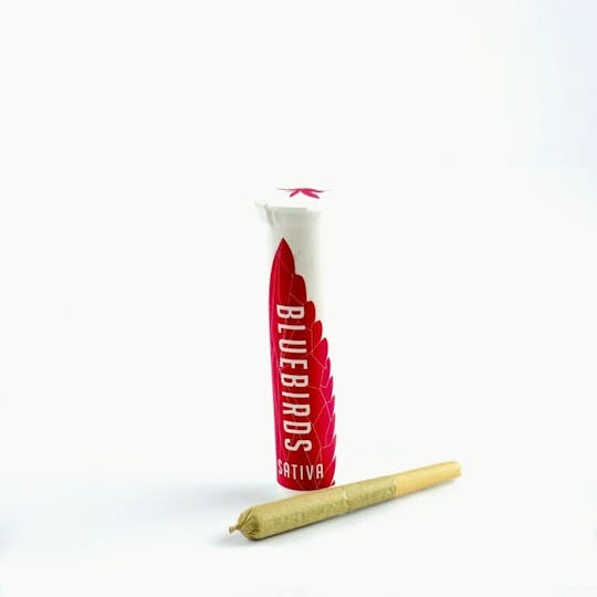 BlueBirds - Fortune Cookies Preroll - 1