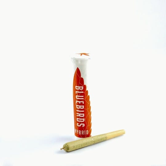 BlueBirds - Goji OG Preroll - 1