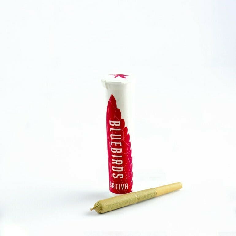 BlueBirds - Old School Lemons Preroll - 1