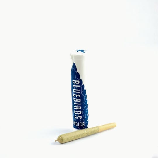 BlueBirds - Skywalker OG Preroll - 1