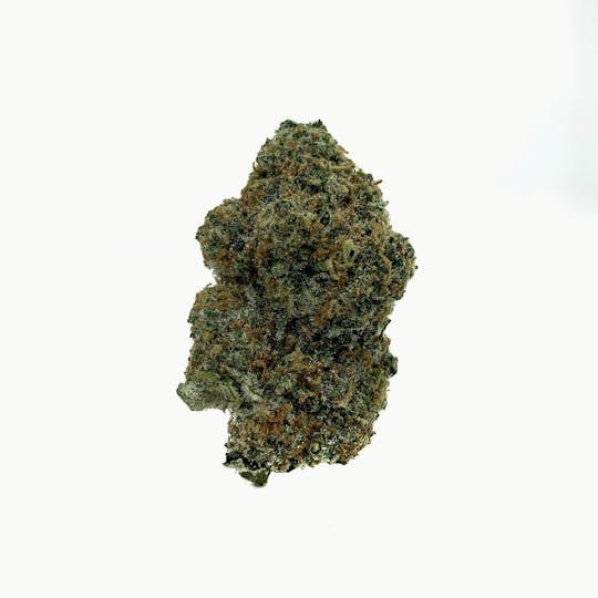 Space Monkey Meds - Fortune Cookies - 1