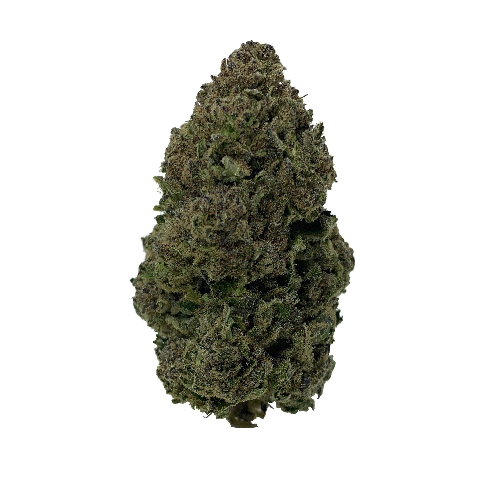 Space Monkey Meds - Punch Breath (Greenhouse) - 1