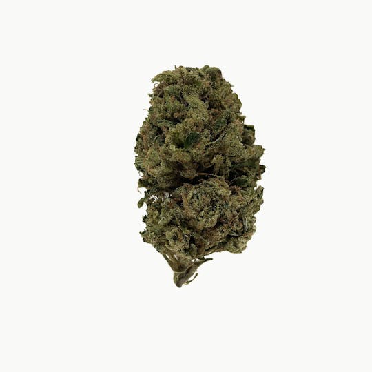 Space Monkey Meds - Ice Cream Cake (Greenhouse) - 1