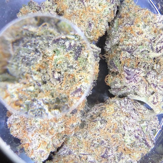 Iron Lung (Medical) - 2nd Breakfast - 1