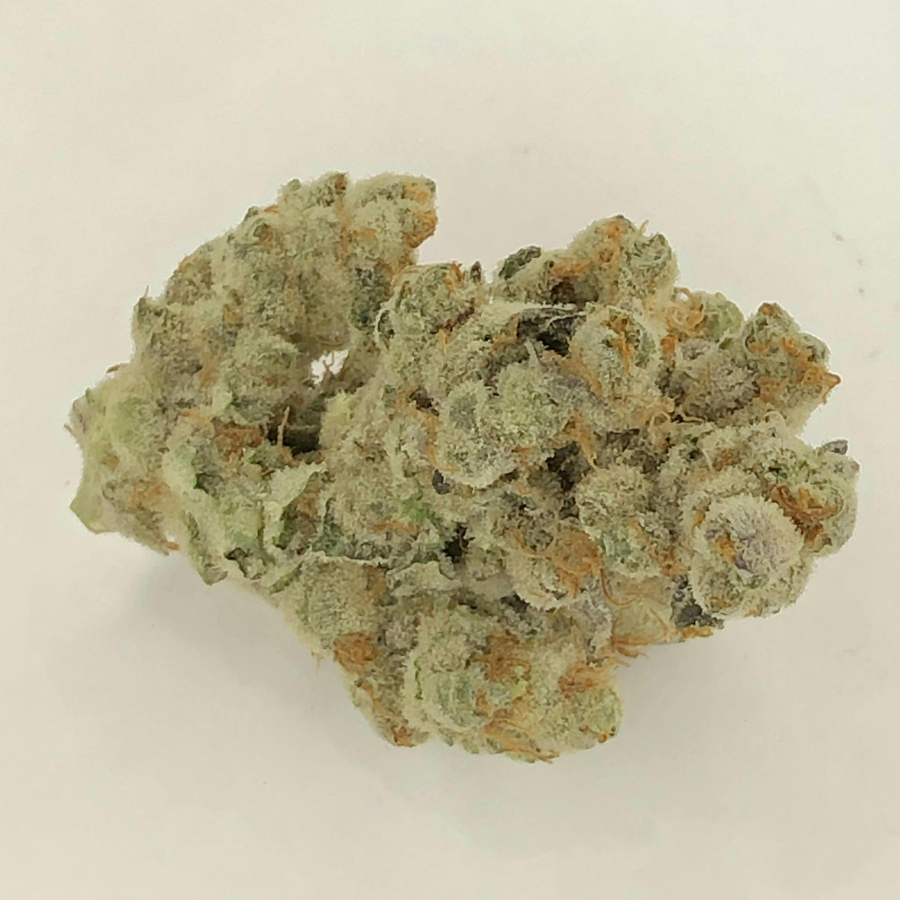 Indico - Rockstar OG - 1