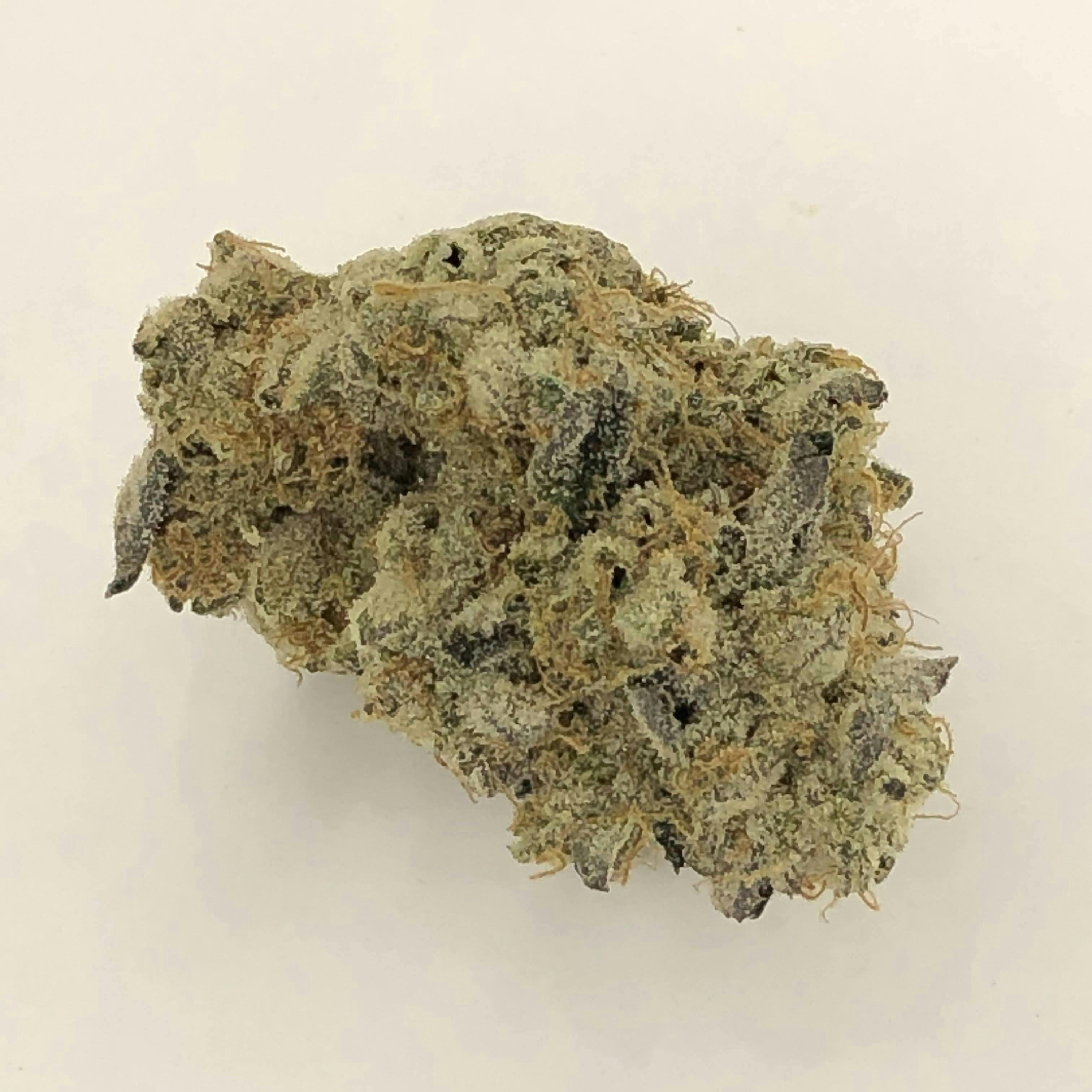 Indico - Wedding Cake - 1
