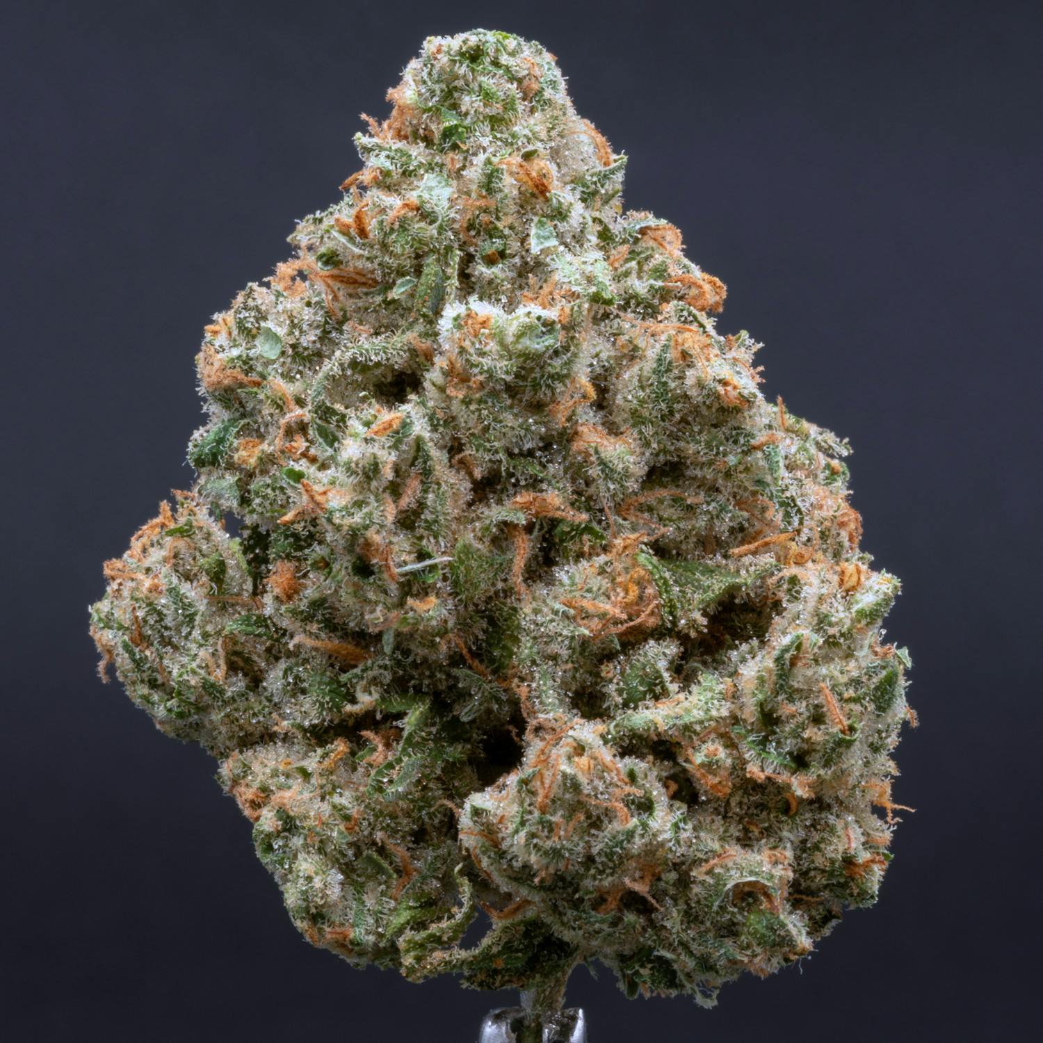 CRU Cannabis - Jack Herer (3.5 Grams) - 1