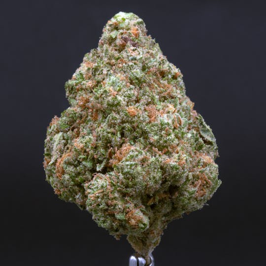 CRU Cannabis - Great White Shark (3.5 Grams) - 1