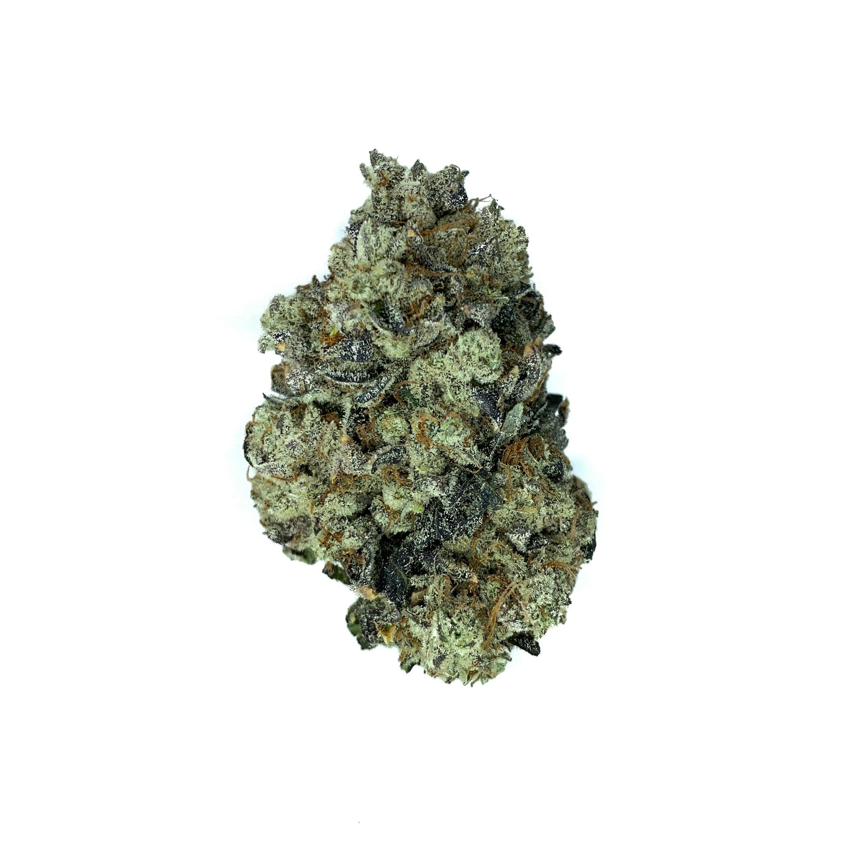 Space Monkey Meds - Face Mints - 1