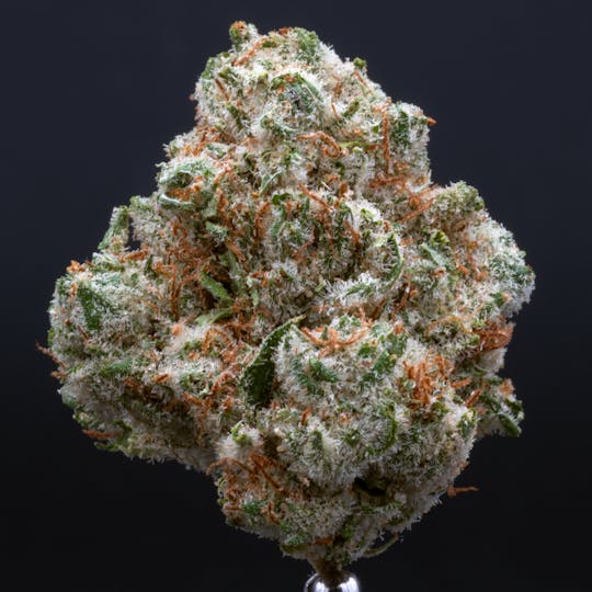 CRU Cannabis - CRU Cake: Grand CRU (3.5 Grams) - 1