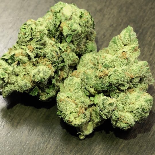 Iron Lung (Medical) - Ghost Dawg - 1
