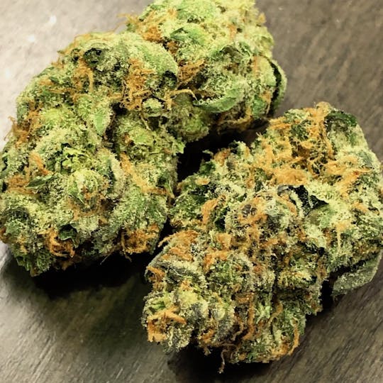Iron Lung (Medical) - Orange Cookies - 1
