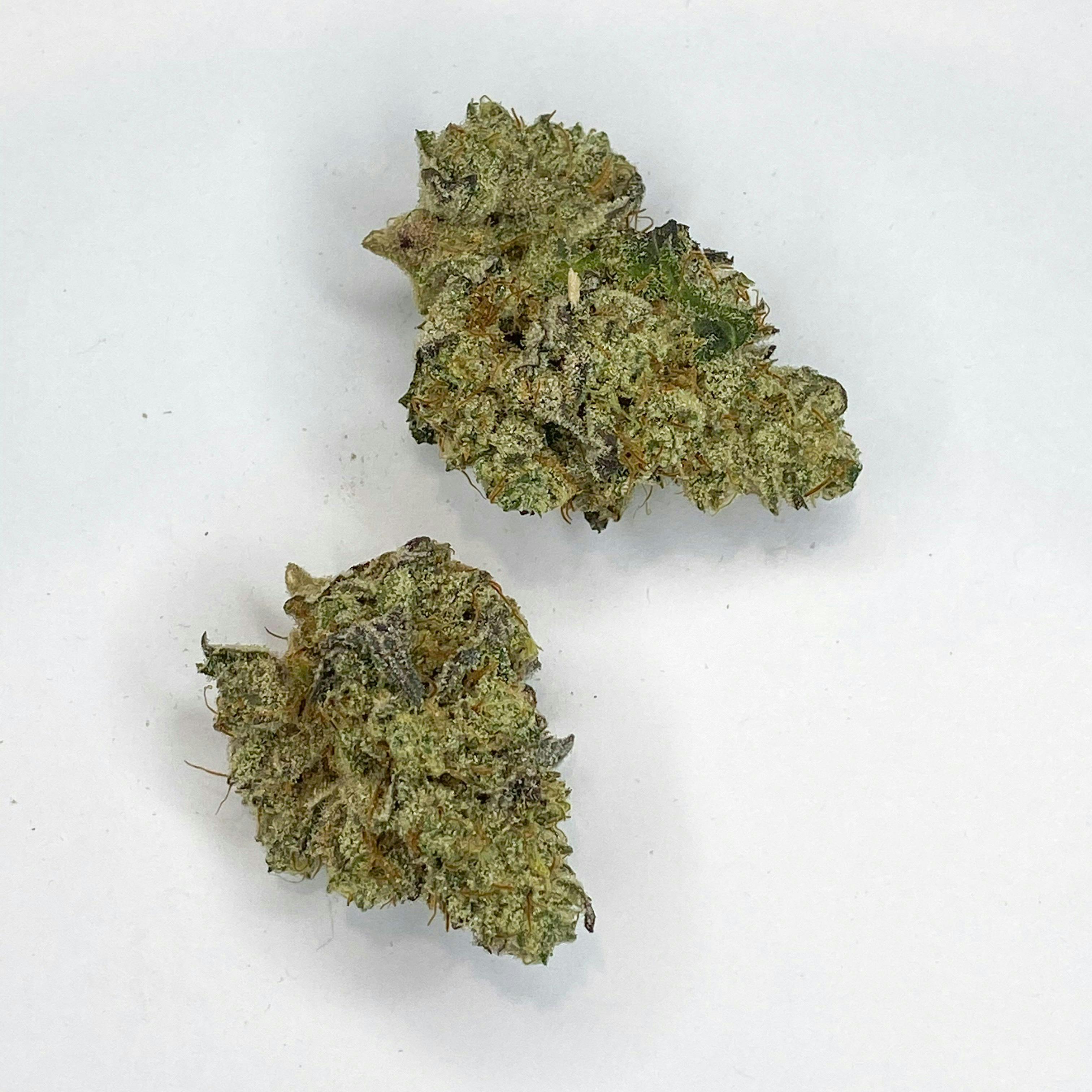 Indico - Hells Bells - 1