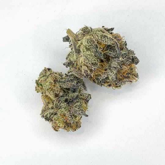 Indico - Purple Zkittles - Southern Maine Mary Jane - 1