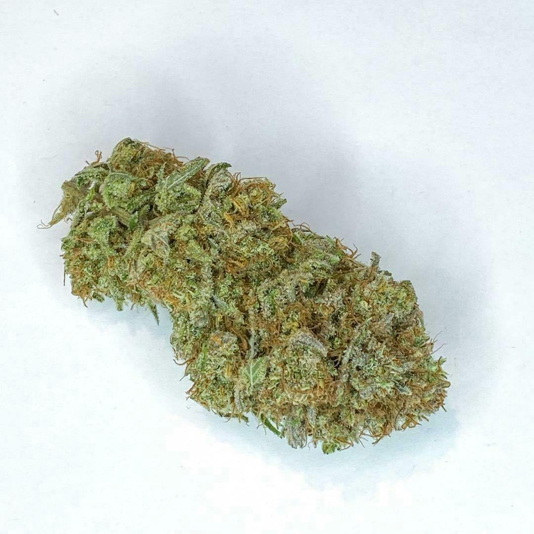 Indico - Pixie Dust - 1