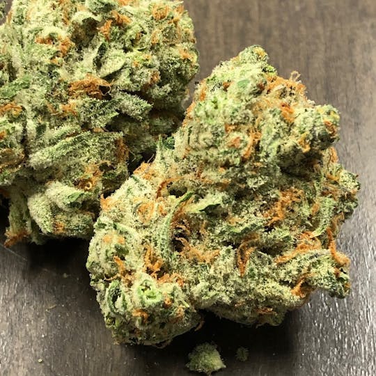 Iron Lung (Medical) - Headspace - 1
