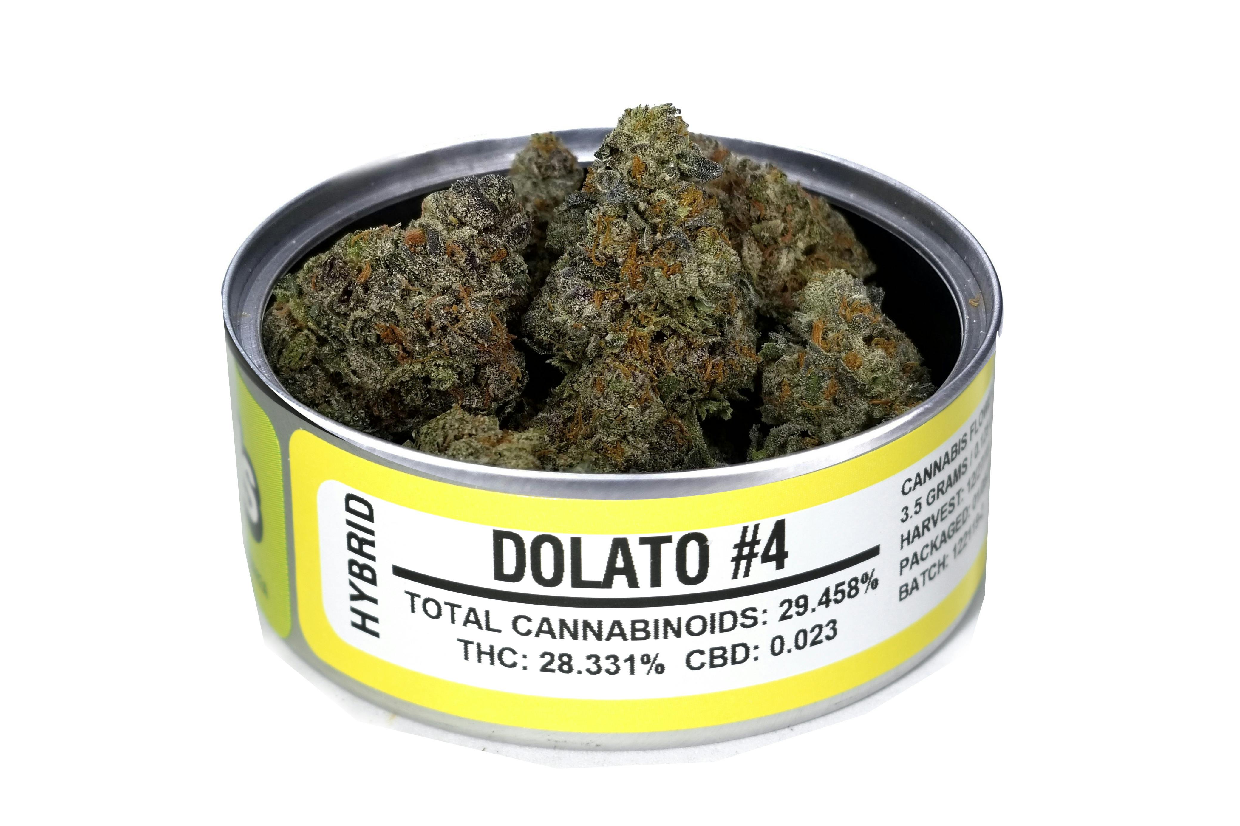 Space Monkey Meds - Dolato #4 - 1