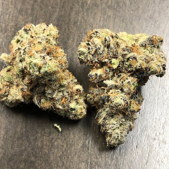 Iron Lung (Medical) - Mandarin Cookies - 1