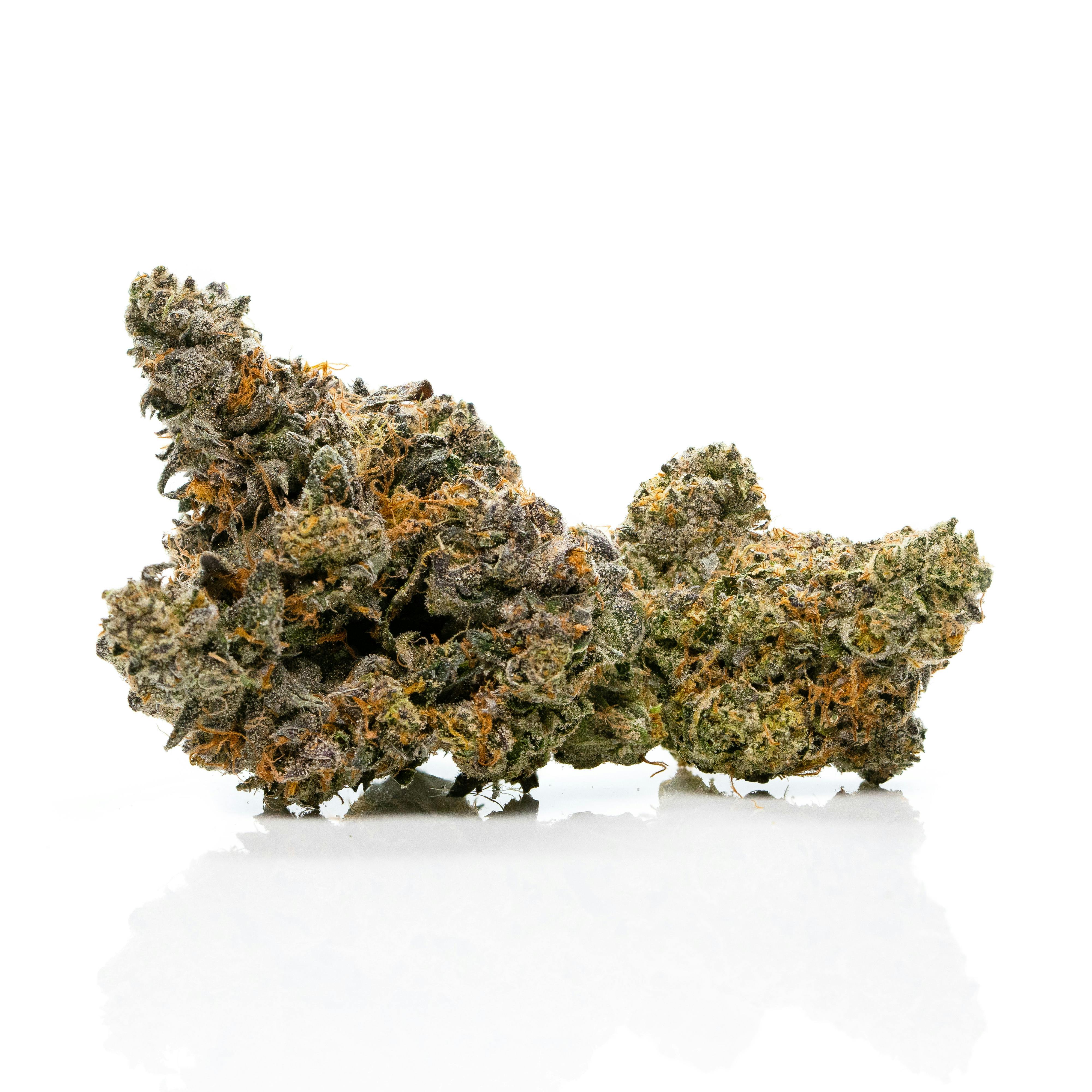 SAVAGE - Sunset Sherbet Indoor Flower by SAVAGE - 1