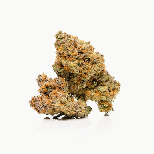 SAVAGE - Sundae Driver Indoor Flower by SAVAGE - 1
