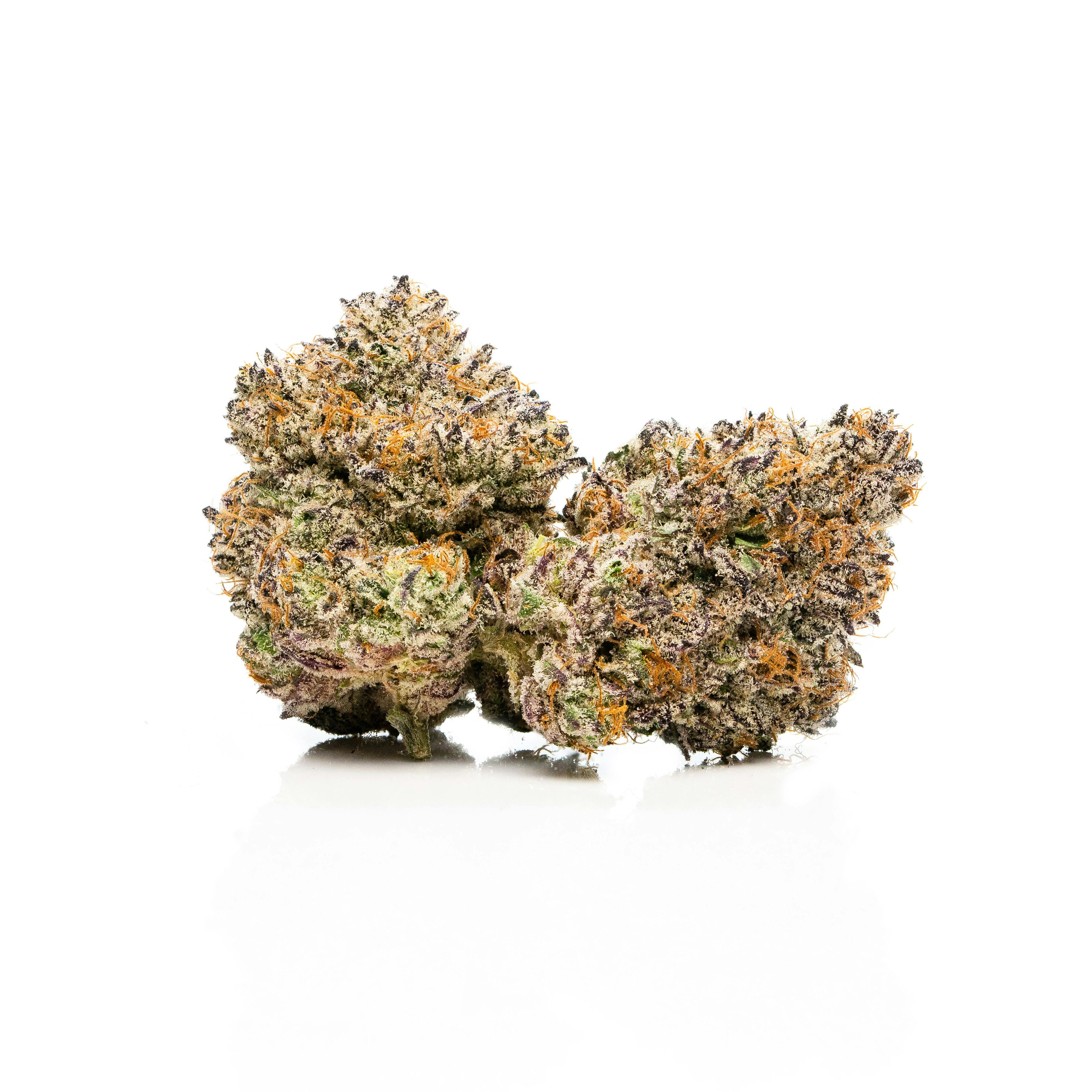 SAVAGE - Gelato Indoor Flower by SAVAGE - 1