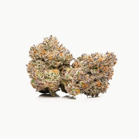 SAVAGE - Gelato Indoor Flower by SAVAGE - 1