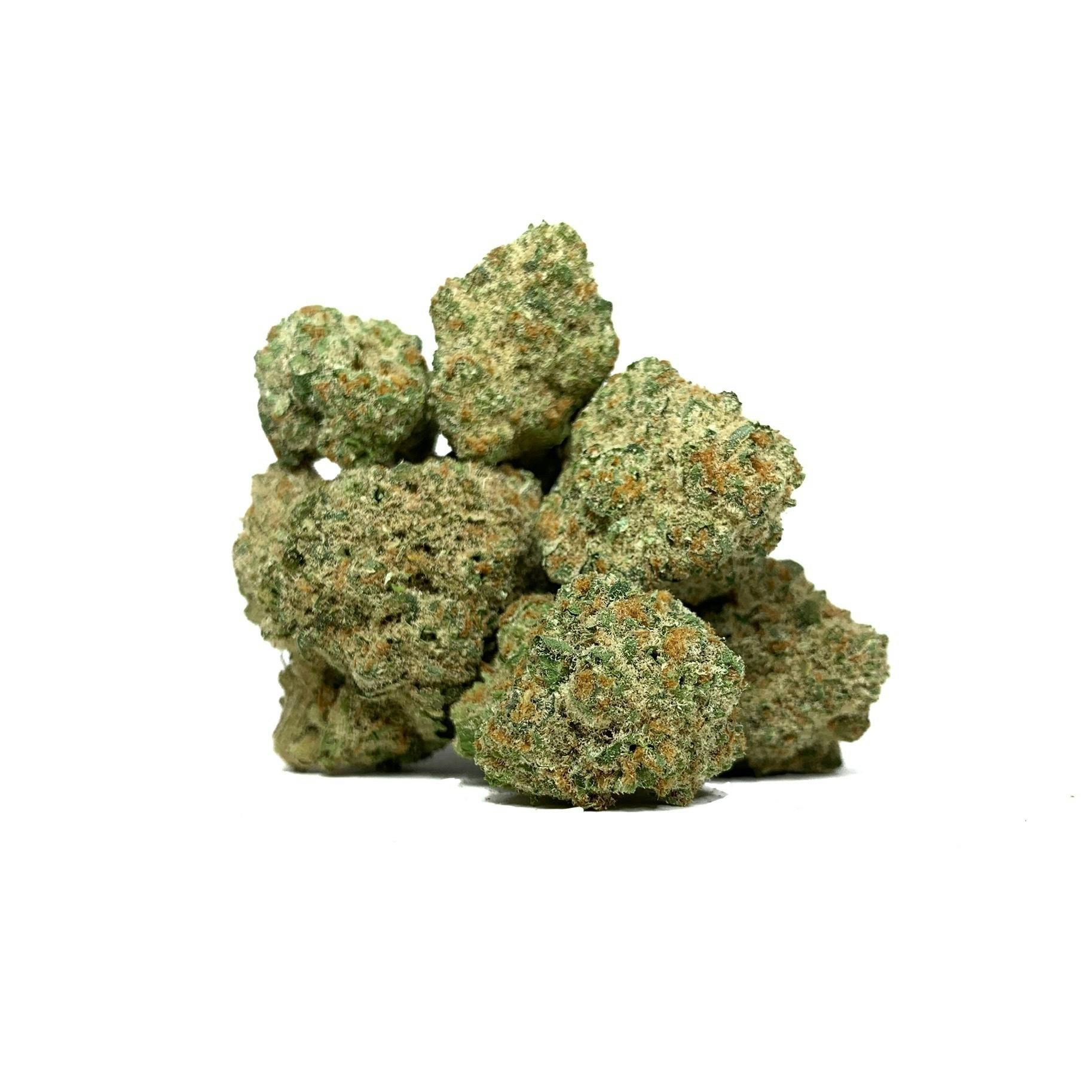 Space Monkey Meds - Orange Crush - 1