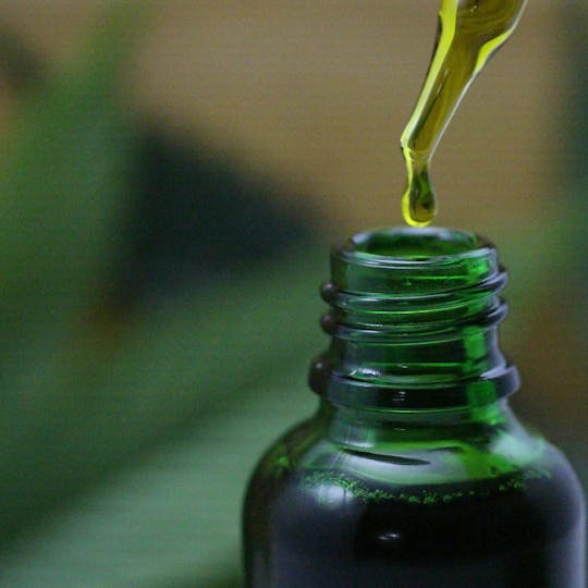 Wellness Connection - Hempseed Oil Tincture (.5oz) - 1