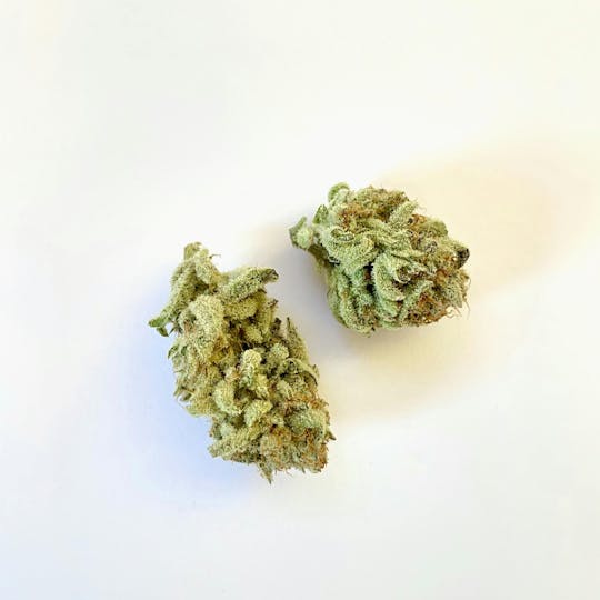 Indico - Apex - 1