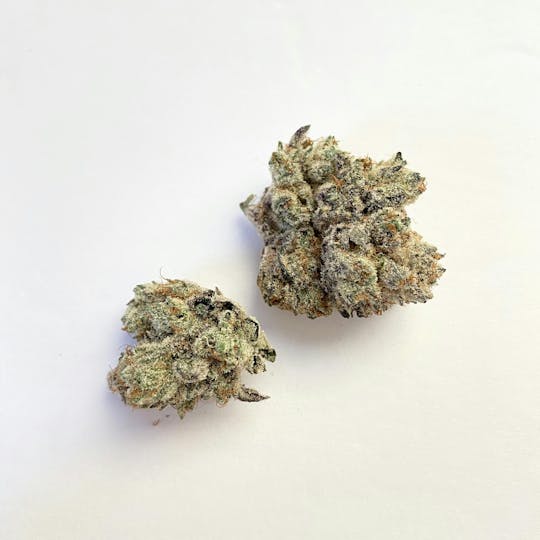 Indico - Topanga Canyon - 1