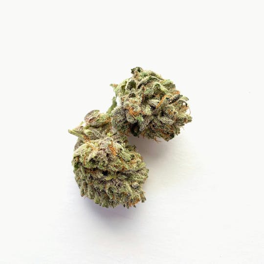 Indico - Head Banger - 1