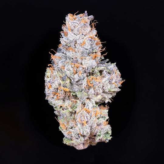 Alien Labs - Gelato 41 - Moongrown - 1