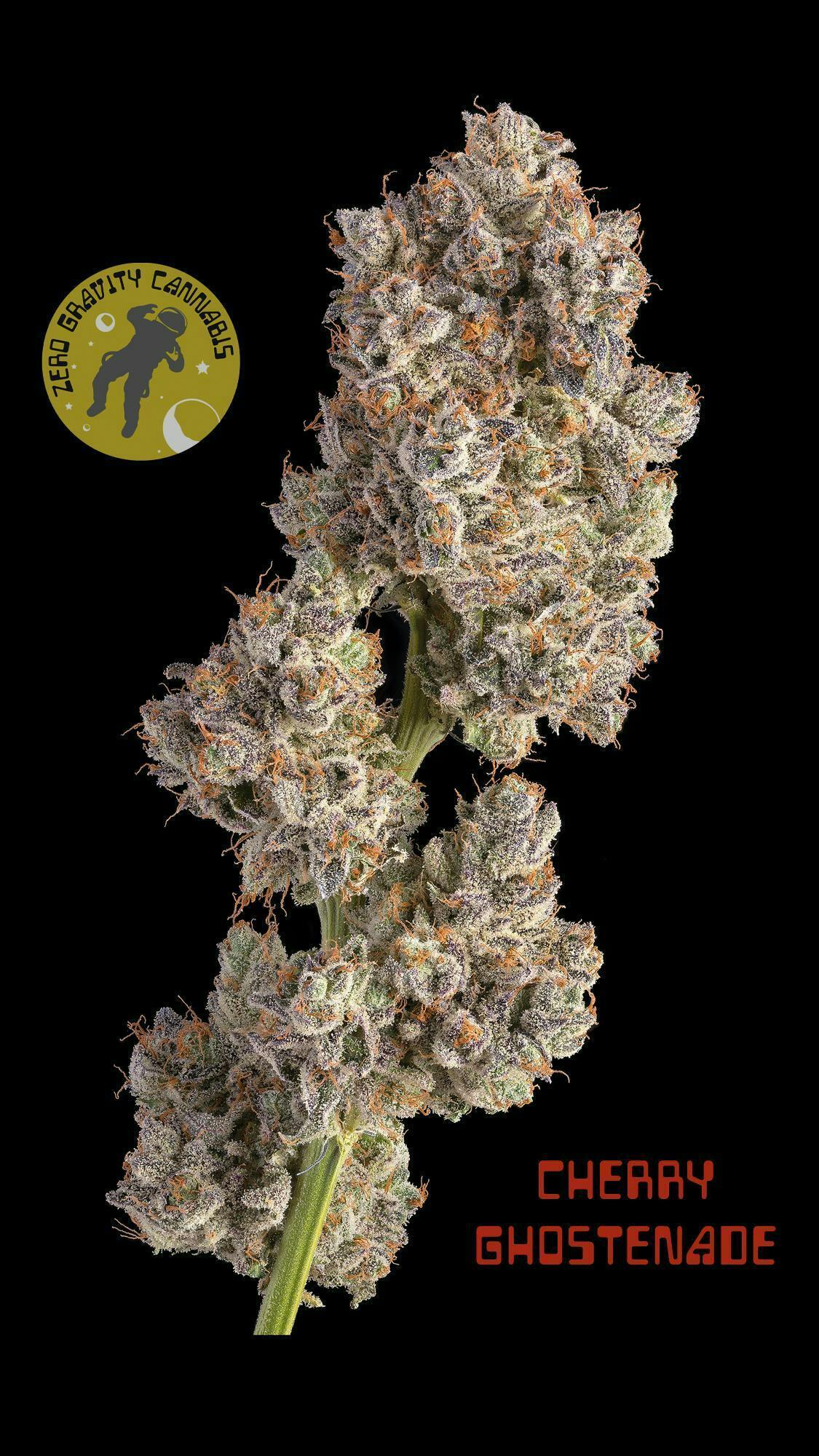 Zero Gravity Cannabis - Flower - Cherry Ghostenade 60/40 Indica Dominant - 1