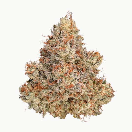 Zero Gravity Cannabis - Flower - Cherry Ghostenade 60/40 Indica Dominant - 1