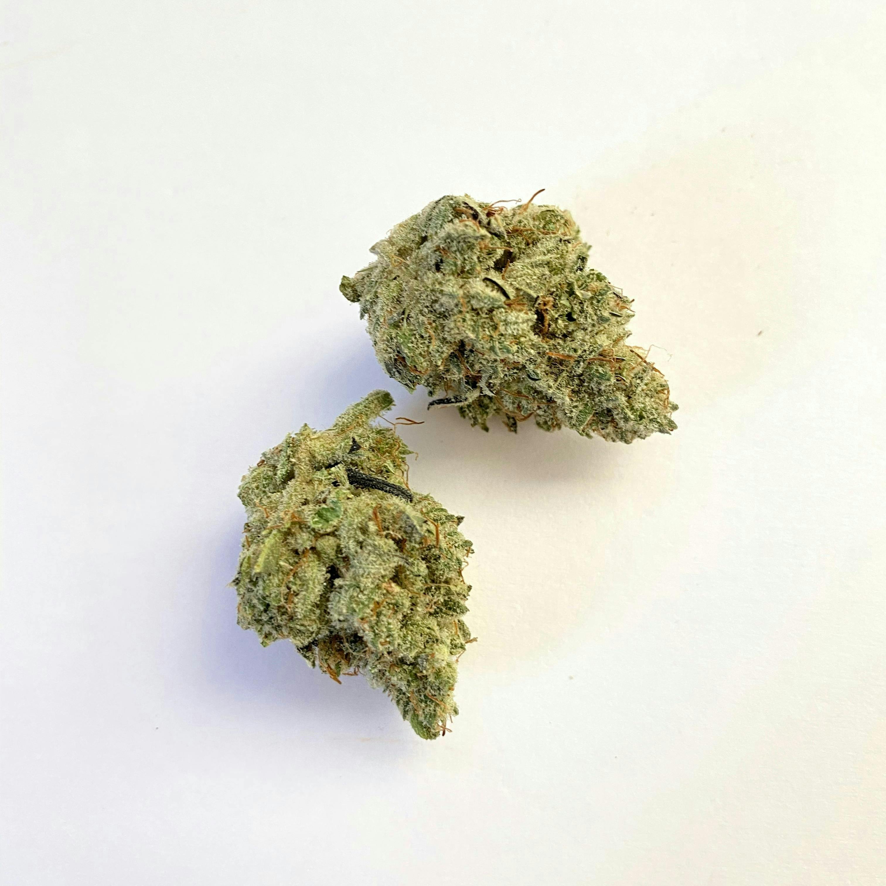 Indico - Mystic Magic - 1