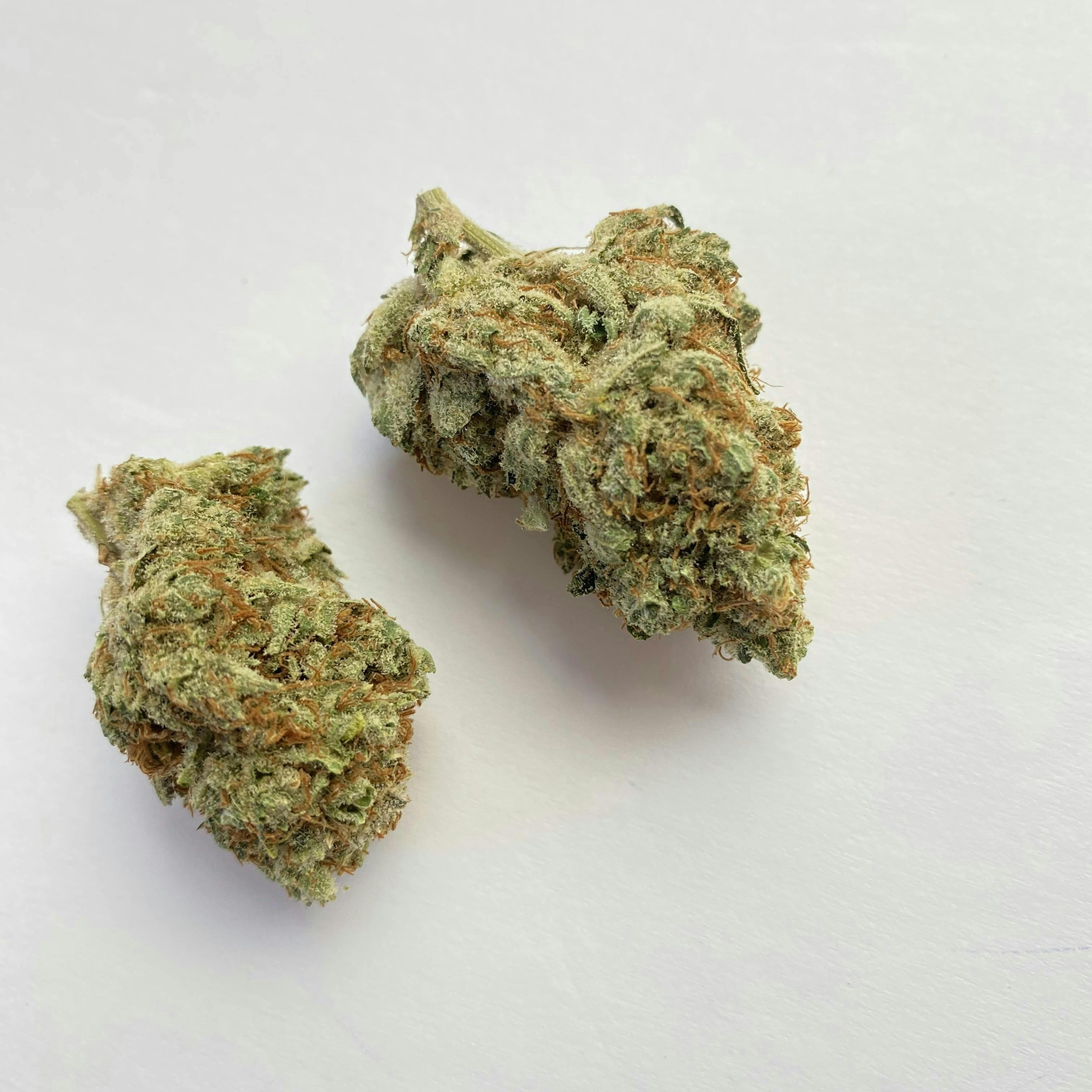 Indico - Orange Creamsicle - 1