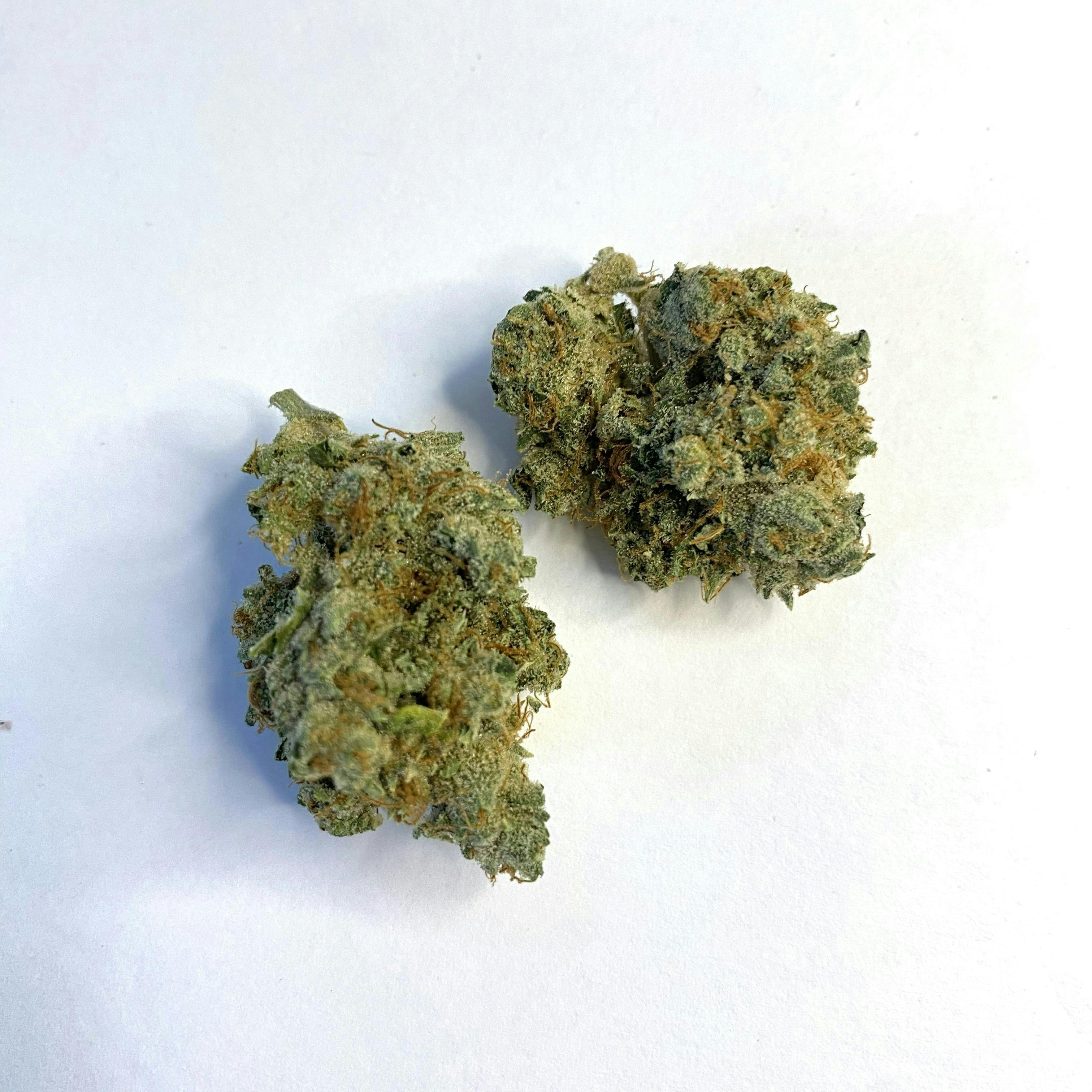 Indico - Spyrock Sour - 1