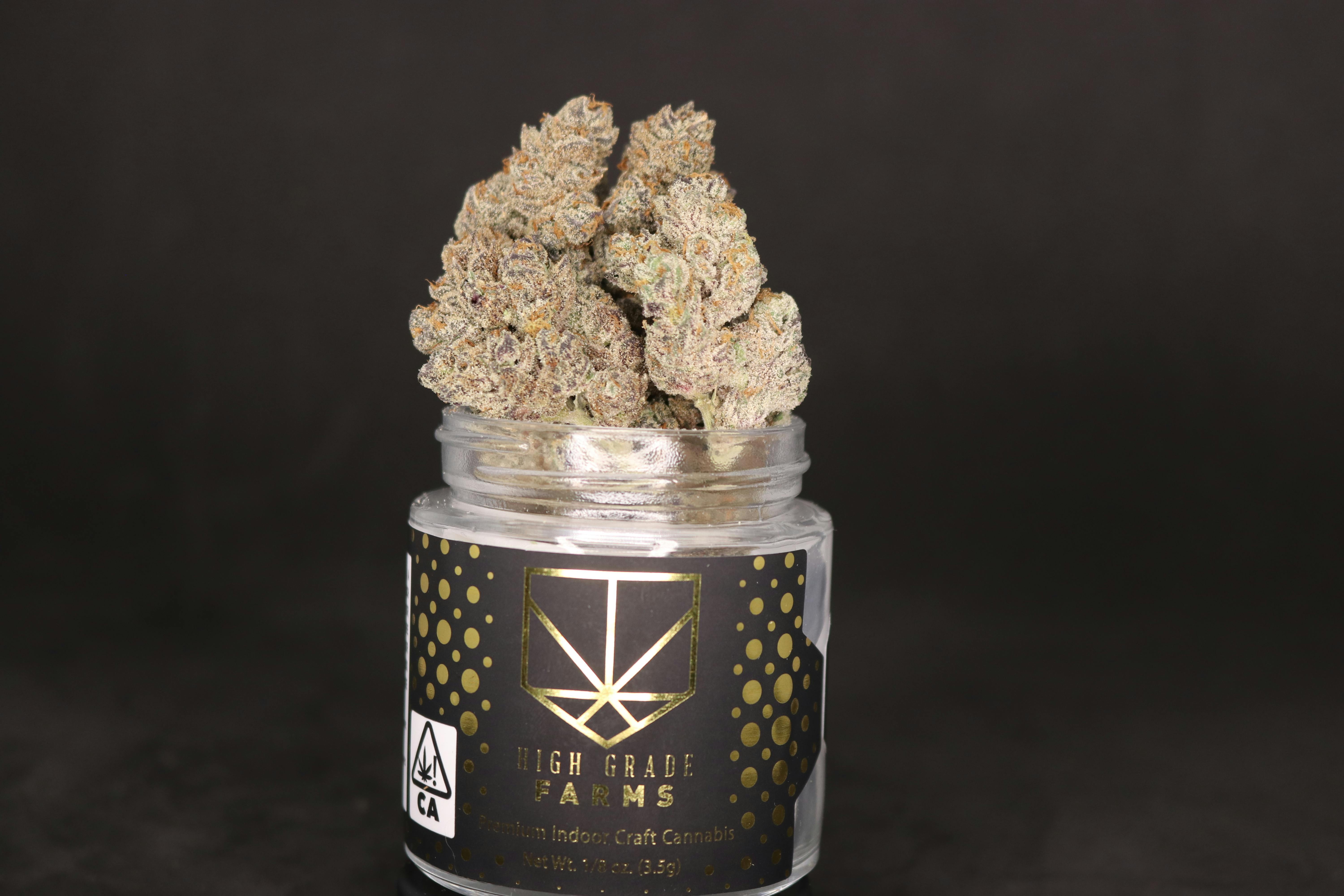 High Grade Farms - Onion Breath 3.5G - 1