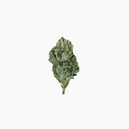 Space Monkey Meds - Blueberry Muffins - Greenhouse - 1