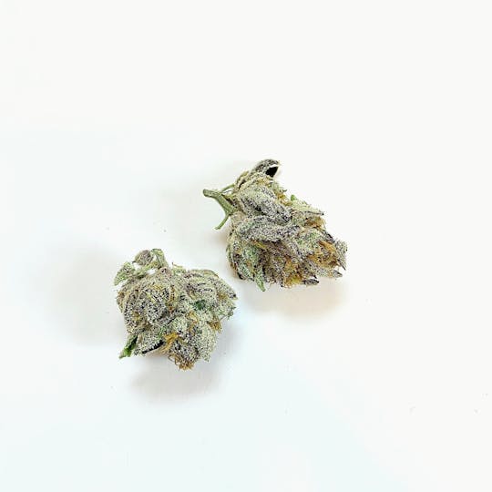 Indico - First Class Funk - 1