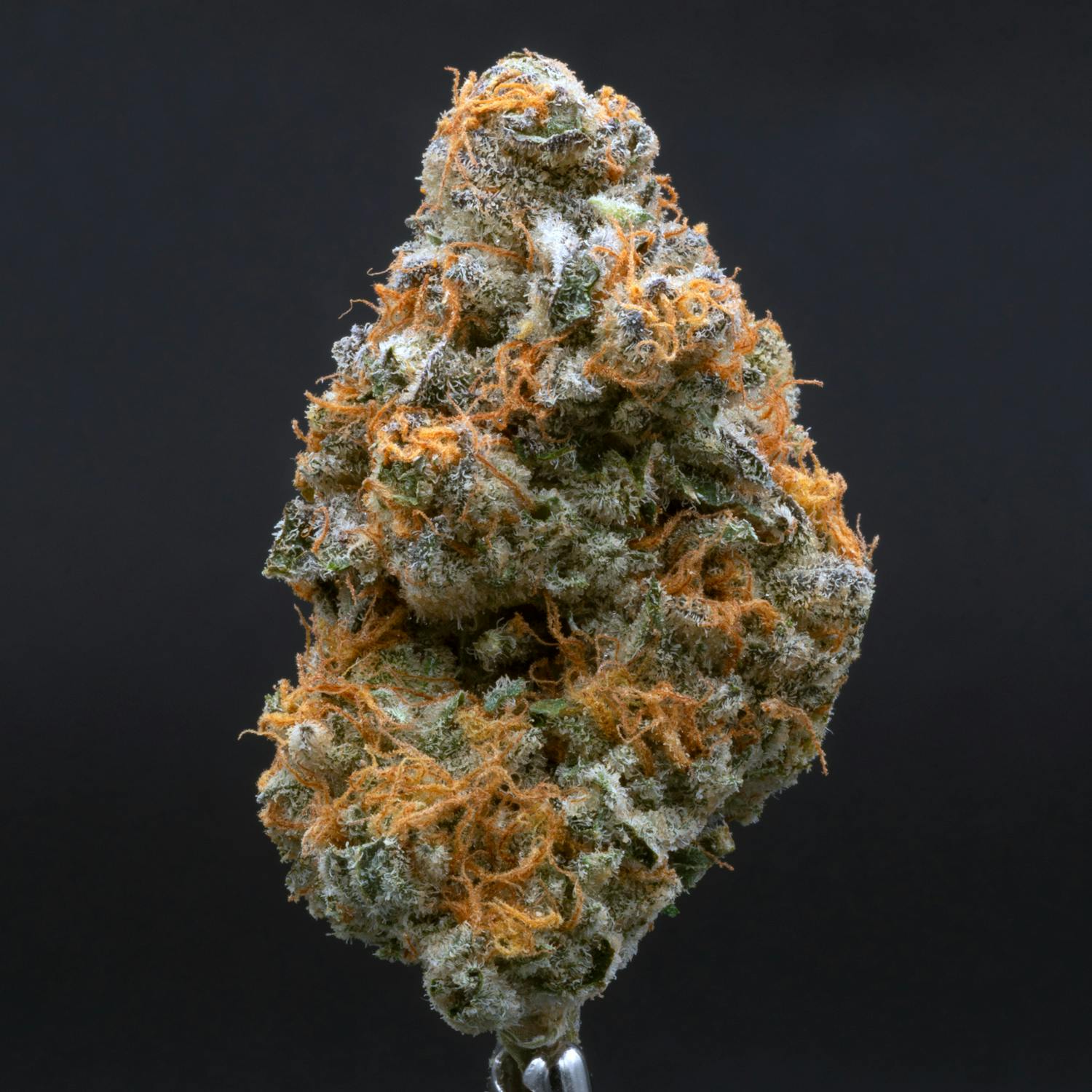 CRU Cannabis - Purple Alien : Grand CRU (3.5 Grams) - 1