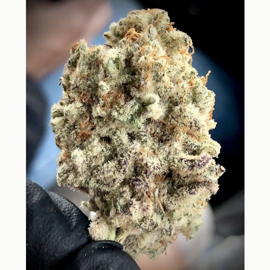Simply Cannabis 207 - MAC (Miracle Alien Cookies) - 1