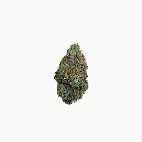 Space Monkey Meds - Mendo Breath - 1