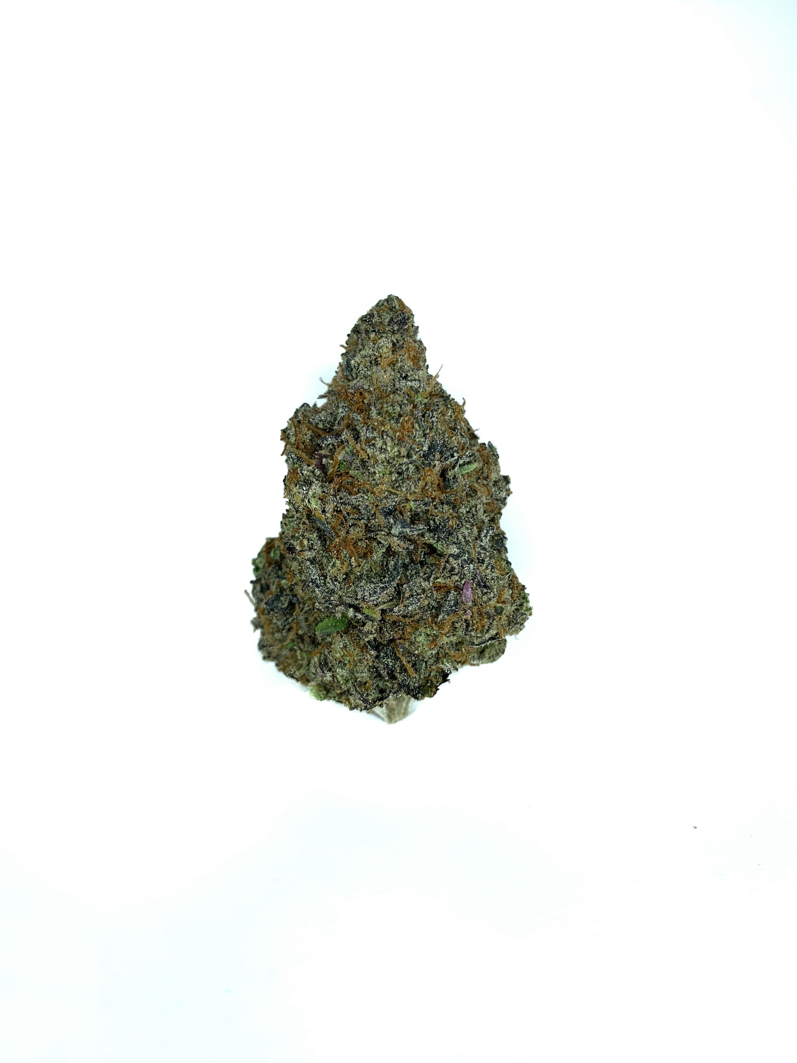 Space Monkey Meds - Peach Rings - 1