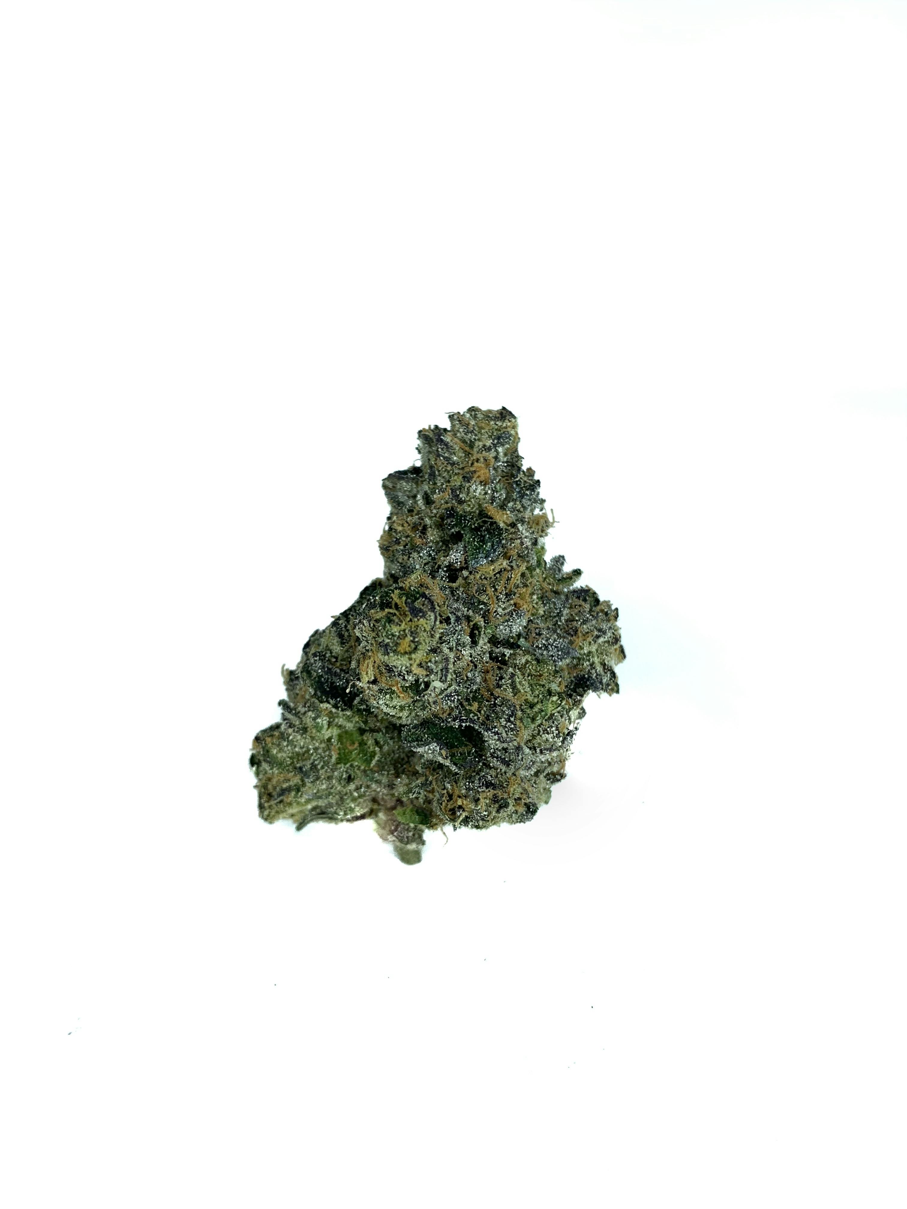 Space Monkey Meds - Sunset Sherbert - 1