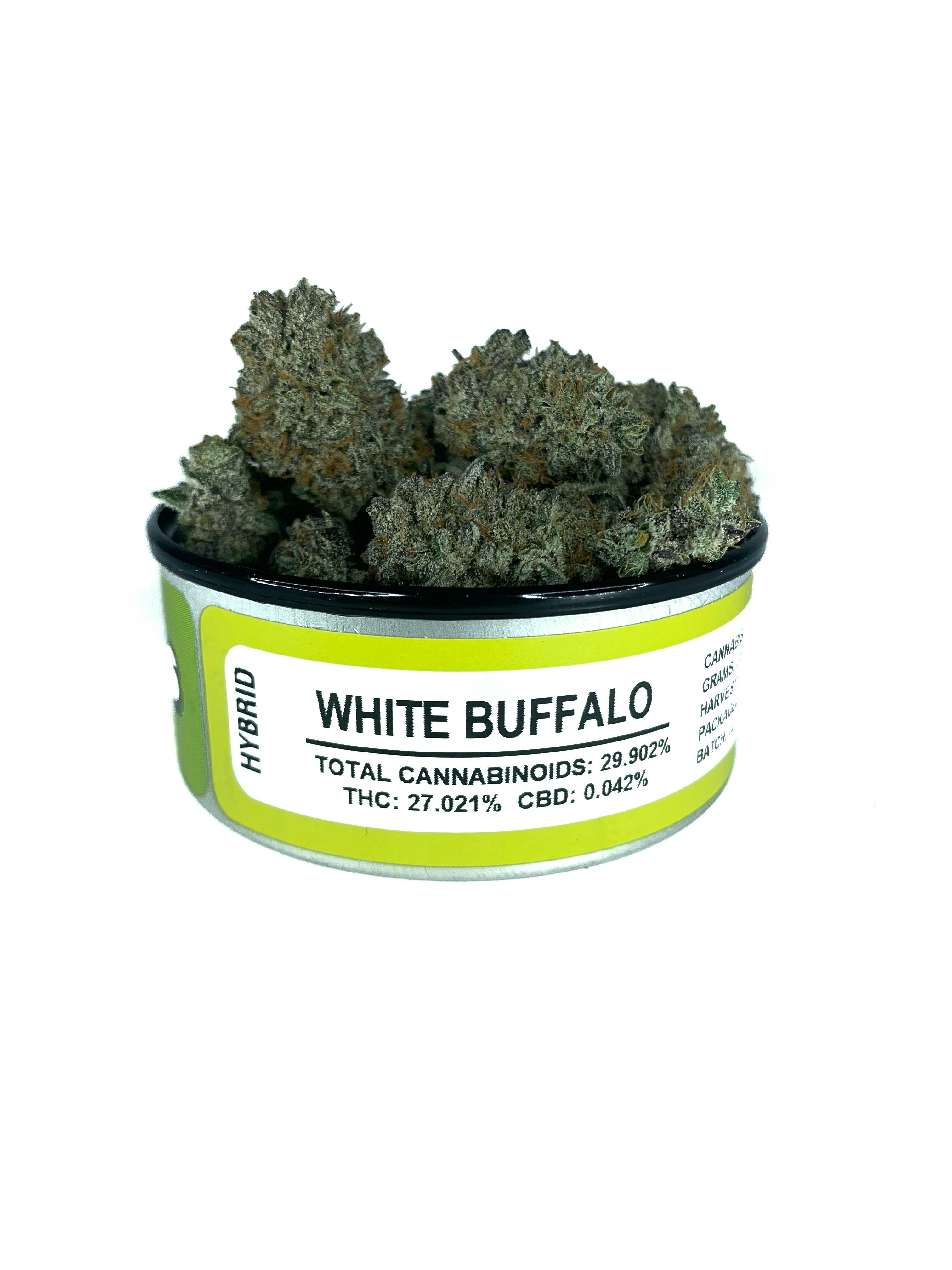Space Monkey Meds - White Buffalo - 1