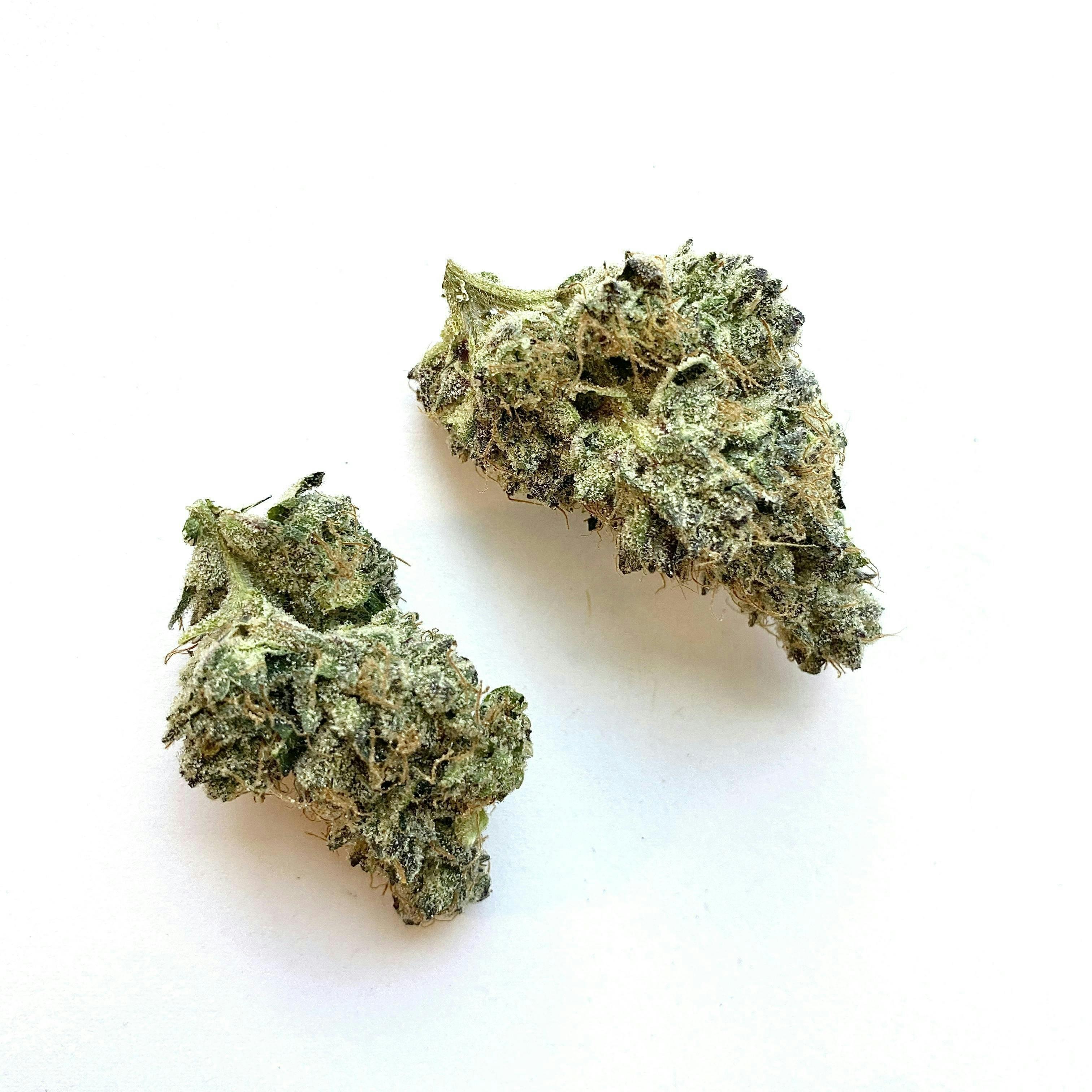 Indico - Wedding Pie - 1