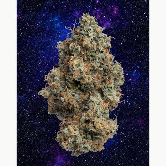 Zero Gravity Cannabis - Flower - Devil's Toast 60/40 Sativa Dominant - 1